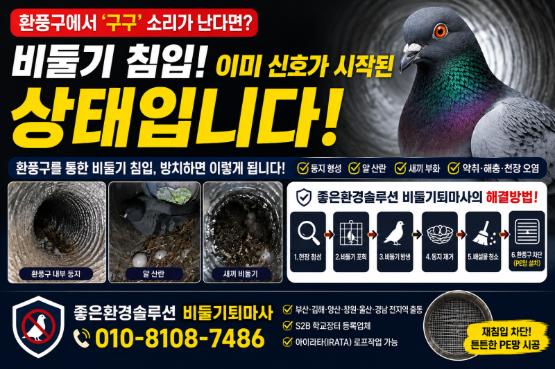 환풍구 속 비둘기 둥지와 알 / 천장에서 구구 소리