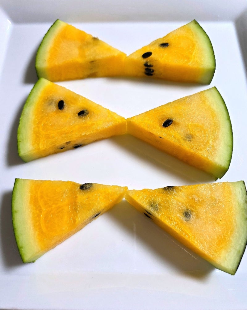 속이 노란 수박 블랙망고 수박 맛은 빨간 수박맛과 다를까 실패없이 블랙망고 수박 고르는 ....