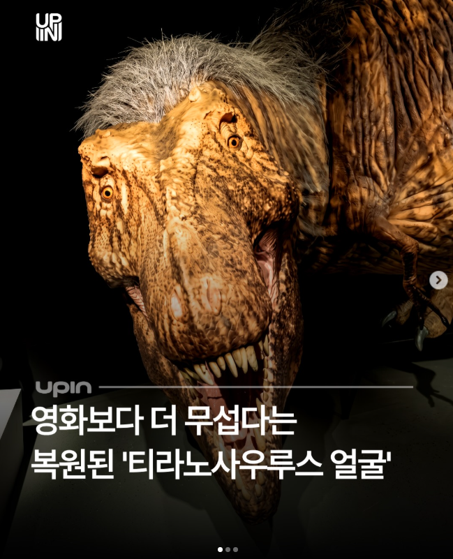  영화보다 더 무섭다는 복원된 '티라노사우루스 얼굴'