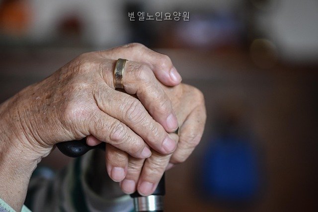 벧엘노인요양원 사진 1
