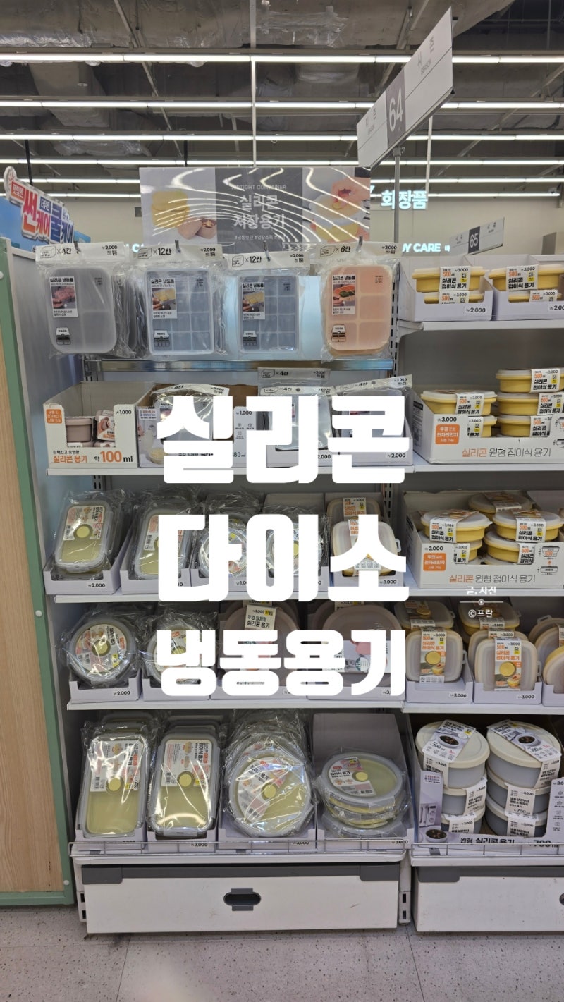 다이소 냉동밥용기 실리콘용기 종류 총정리