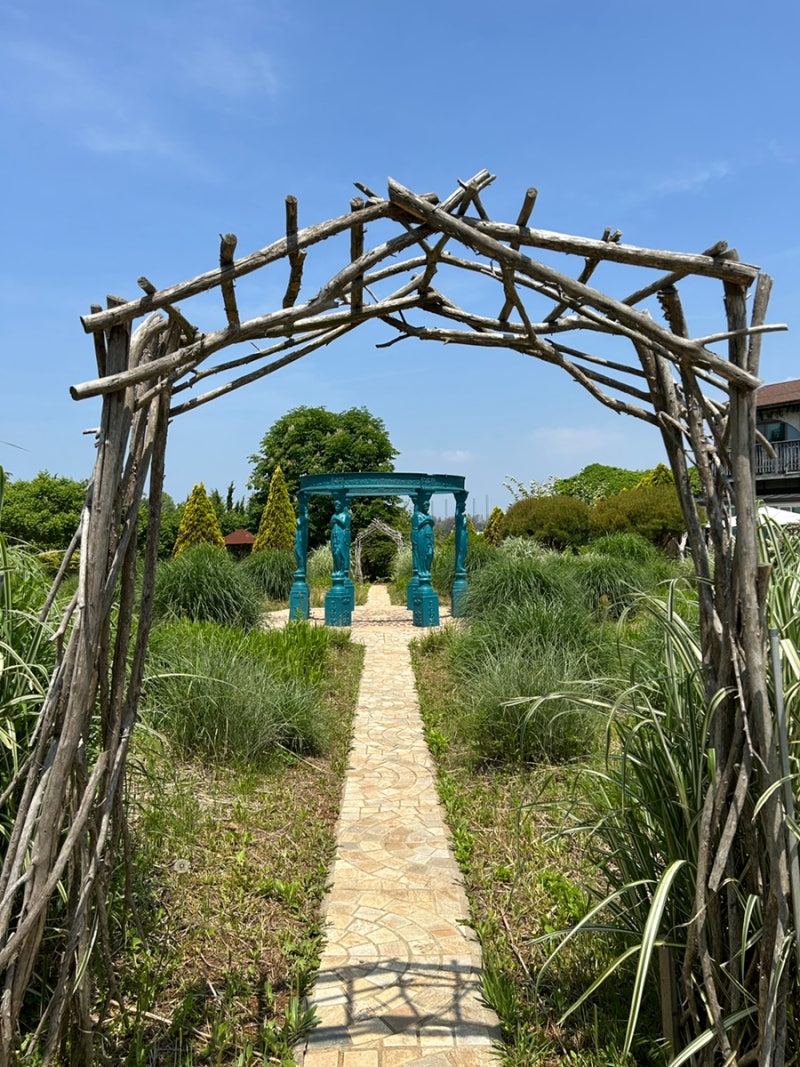 [Taean Farm Kamille] Recommended Travel Destination in Taean Full of Flowers and Fragrance
