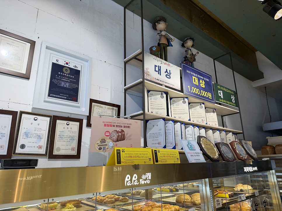 파파레브 사진 4
