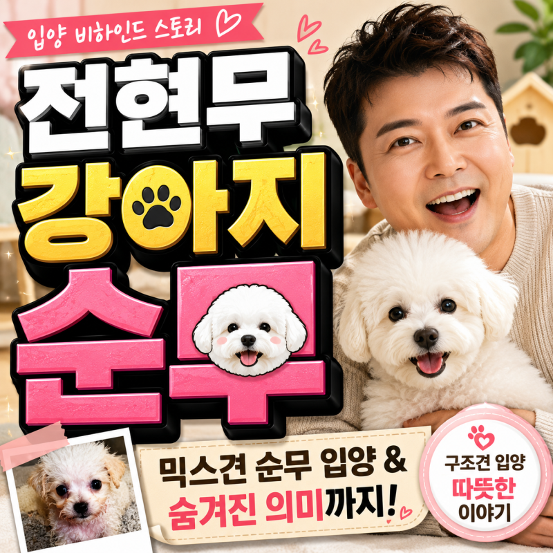 전현무 강아지 종 믹스견 순무 입양 뒷이야기와 숨겨진 의미