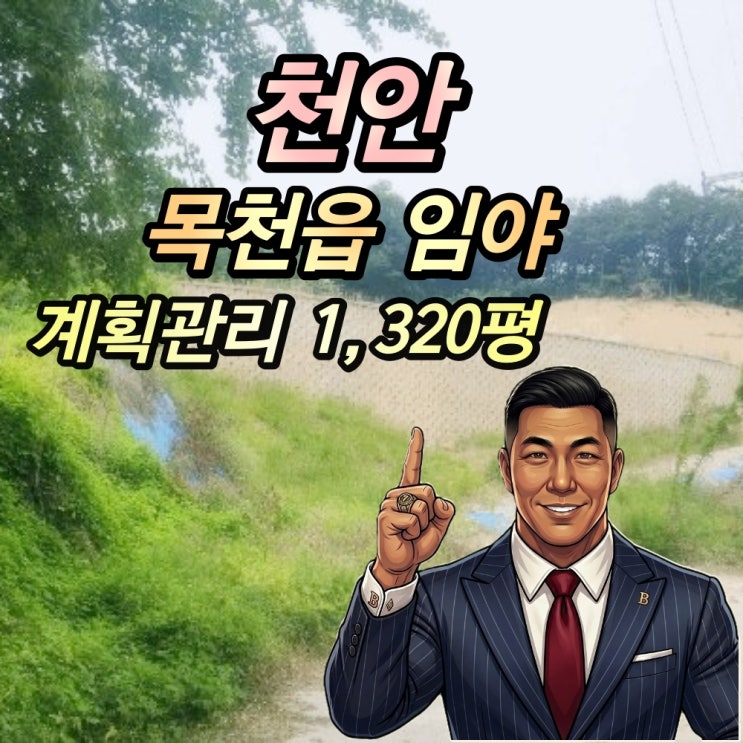  천안 목천읍 임야 경매 1320평 5억대 허가권 승계 분석