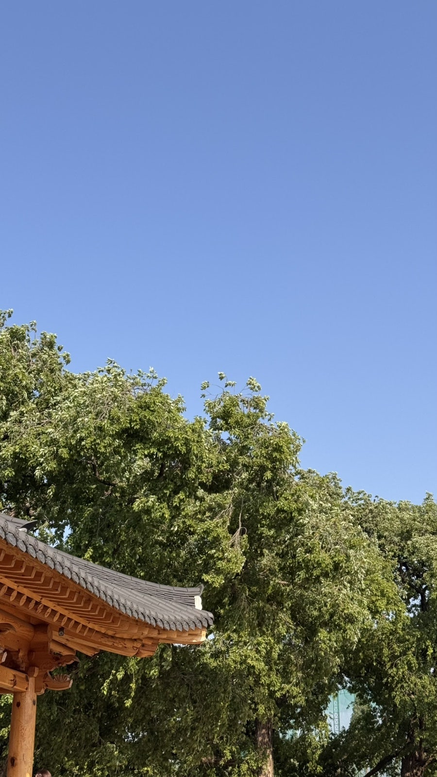 연화정 사진 6
