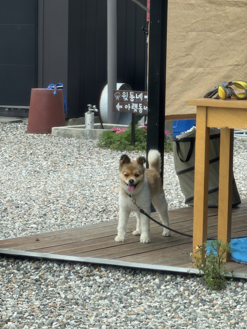 또보리캠프 사진 3