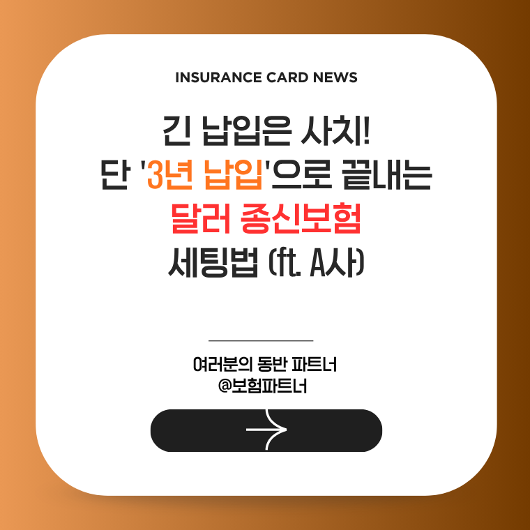 긴 납입은 사치! 단 '3년 납입'으로 끝내는 달러 종신보험 세팅법 (ft. A사)