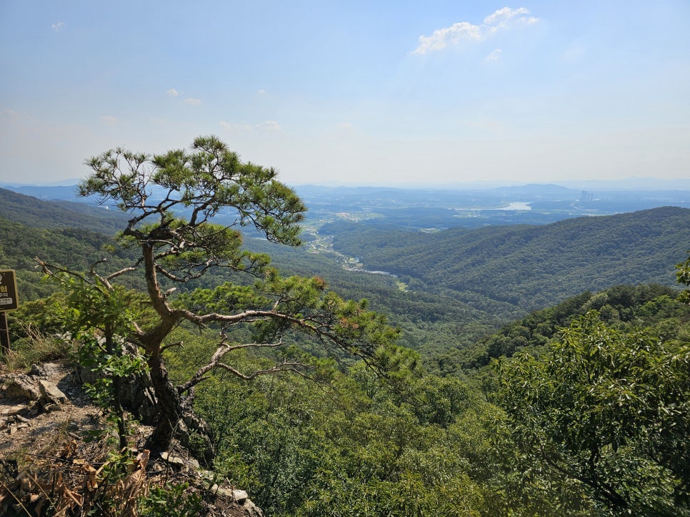 보금산 사진 5