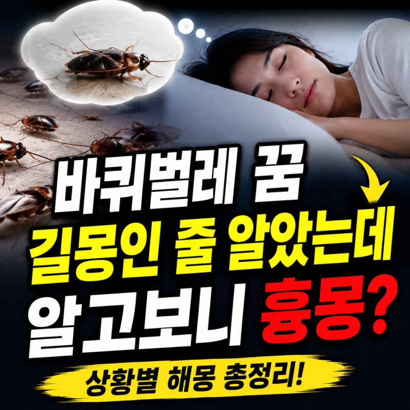 바퀴벌레꿈 해몽 길몽인 줄 알았다가 흉몽으로 바뀌는 이유