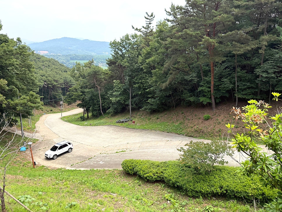 청룡산 사진 2