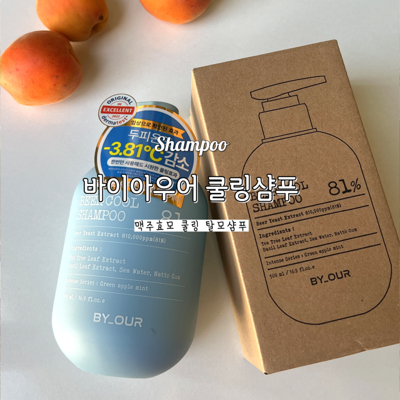 두피 쿨링 샴푸 바이아우어 맥주효모 향좋은 샴푸 추천