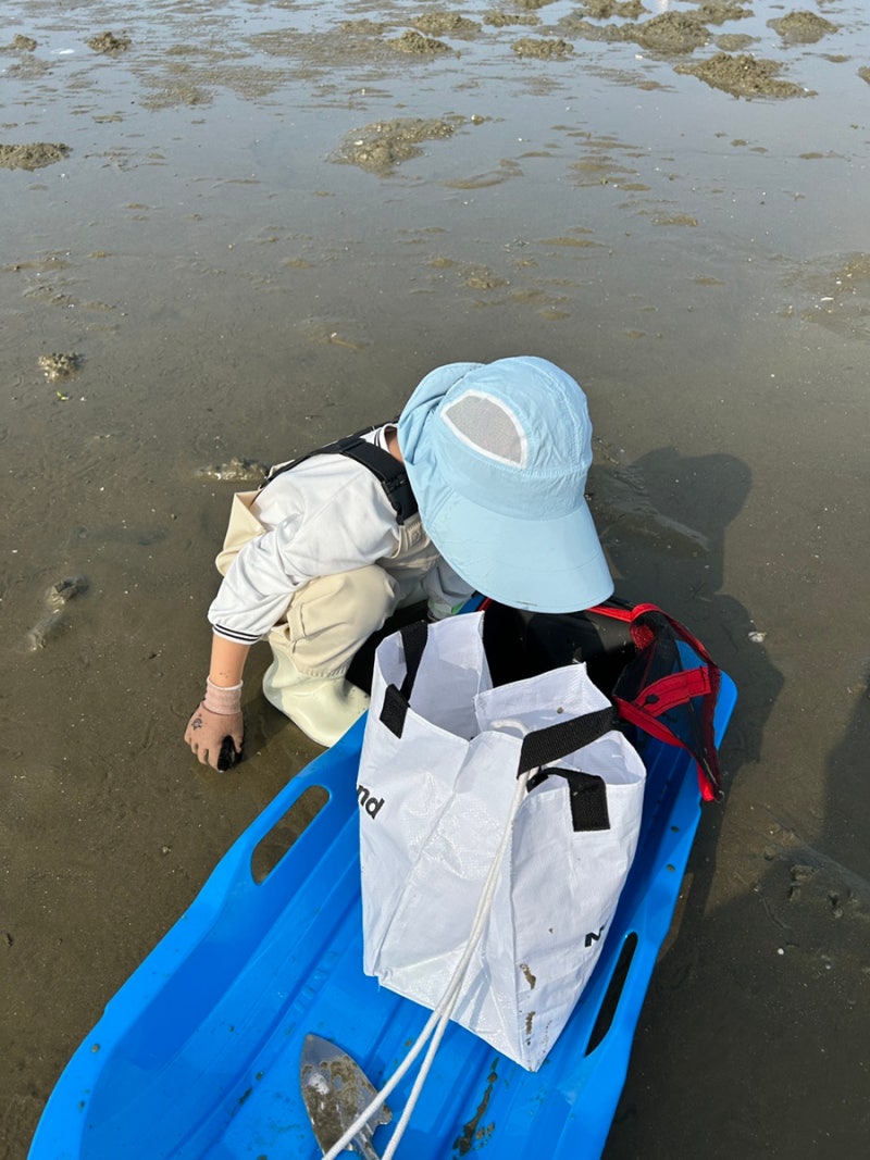 Jinsan-ri Tidal Flat Experience Center Happy Mart: Taean Tidal Flat for Catching Many Razor Clams & Recommended Affordable Pensions