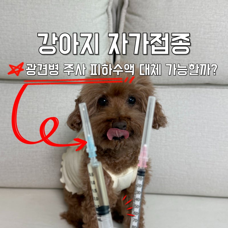강아지 광견병 주사 피하수액 강아지자가접종 대체 가능할까?