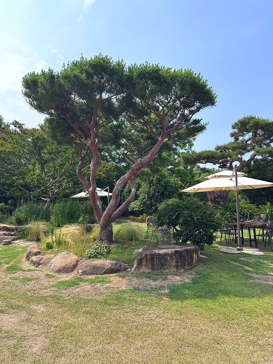 카페마실 사진 5
