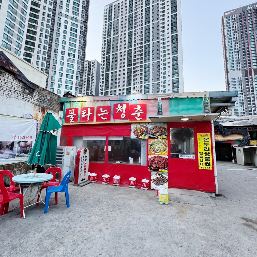불타는청춘 사진 1