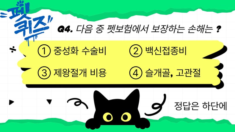 반려견보험, 어디까지 보장되고 어디부터 안 될까?