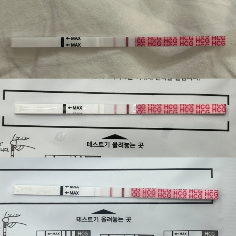 계류유산 후 생리 없이 바로 임신, 임신 극초기 증상, 임신 초기검사 갑상선기능....