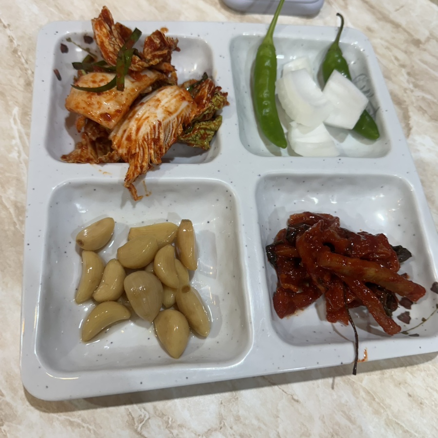 황금오리 사진 5