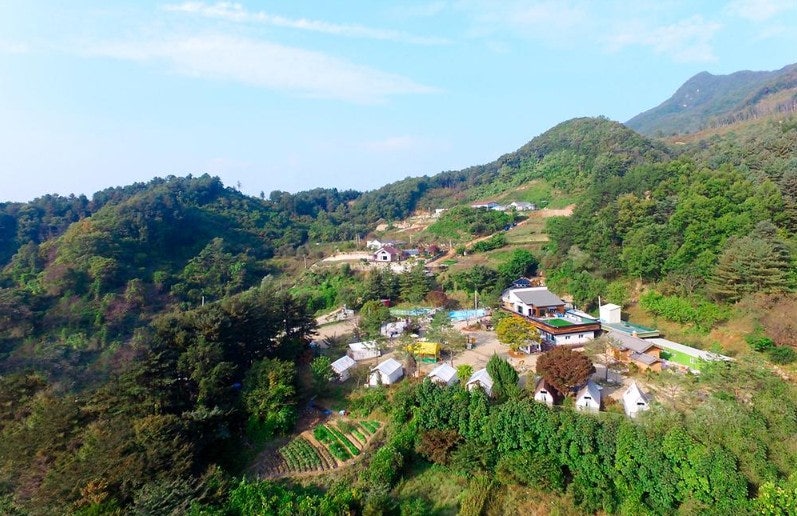 보리산 사진 6