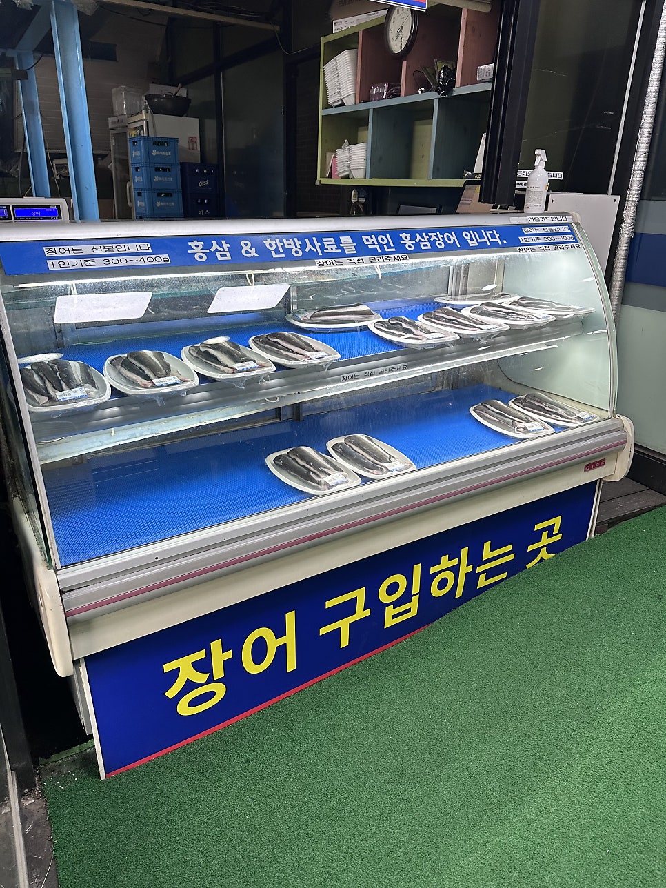 영산강 사진 3