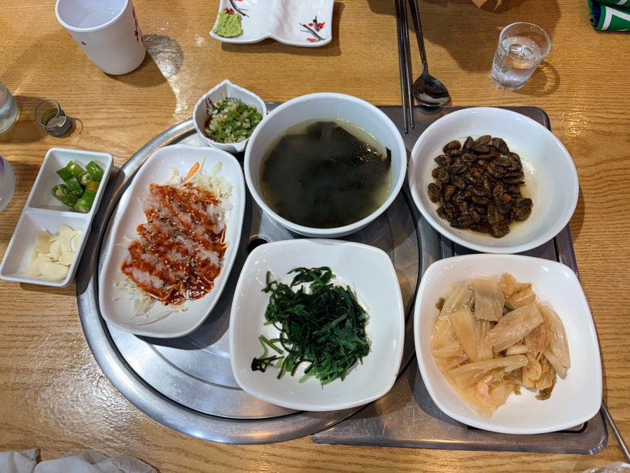 어신 사진 3