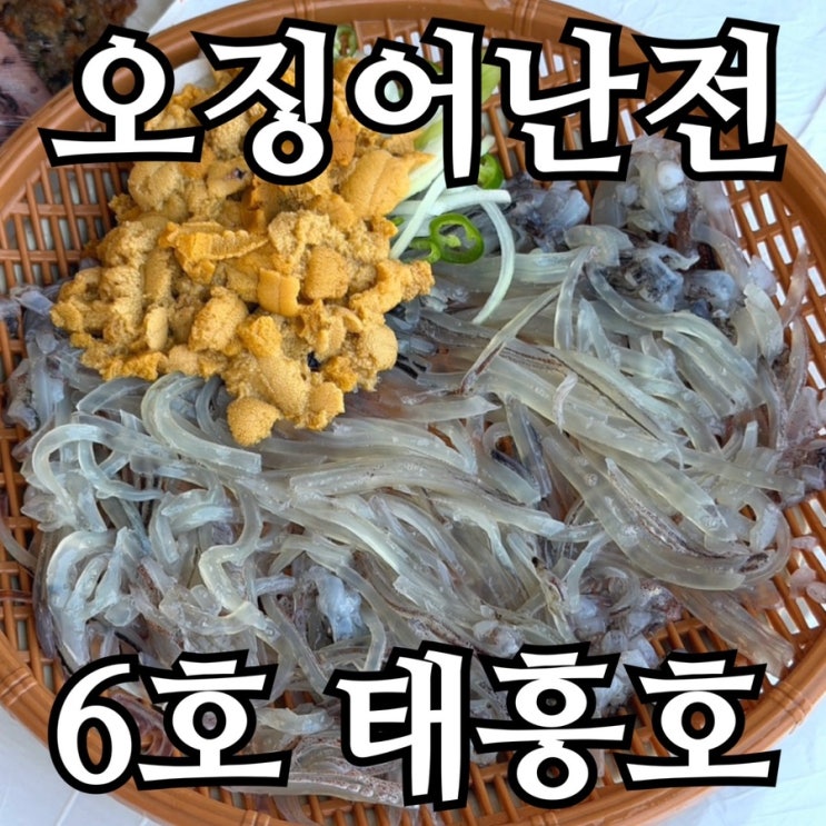  속초 오징어난전 6호 태흥호 후기, 우니까지 같이 먹은 날