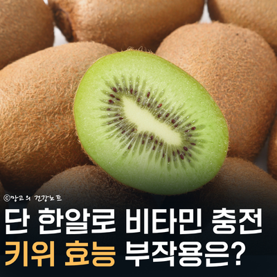 키위 효능 제철 칼로리 혈당지수 부작용 골드 그린 레드 차이점
