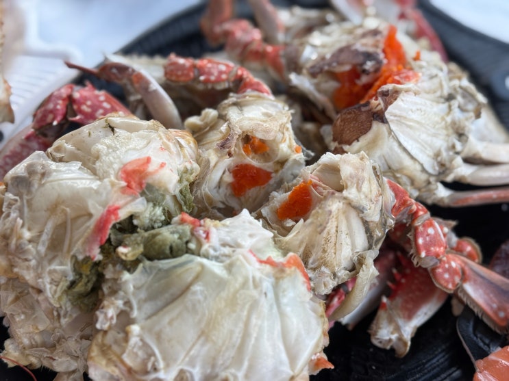  노량진수산시장 대게 맛집 시세 및 수율까지 완벽했던 우정수산 추천 후기
