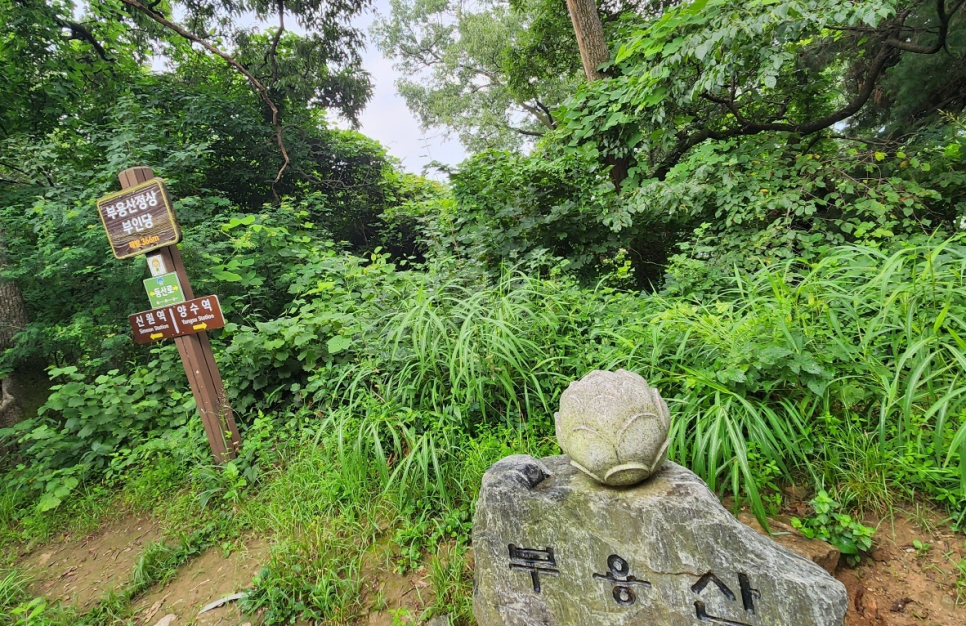 부용산 사진 2