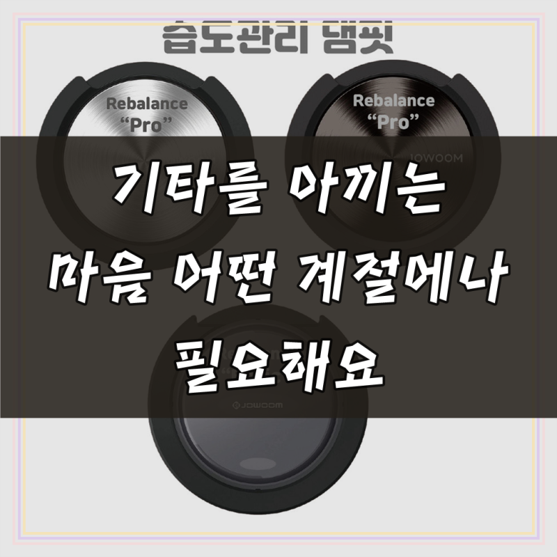 통기타 습도관리 댐핏 사계절 기타 관리 리밸런스 베이직 프로, 1개