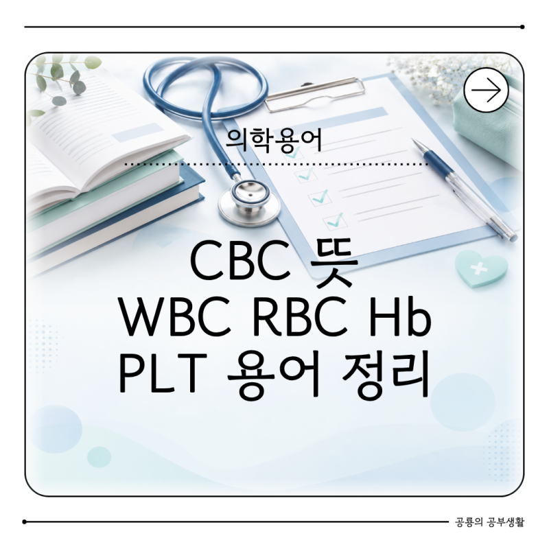 CBC 뜻 무엇일까? WBC RBC Hb Hct PLT 의학용어 정리