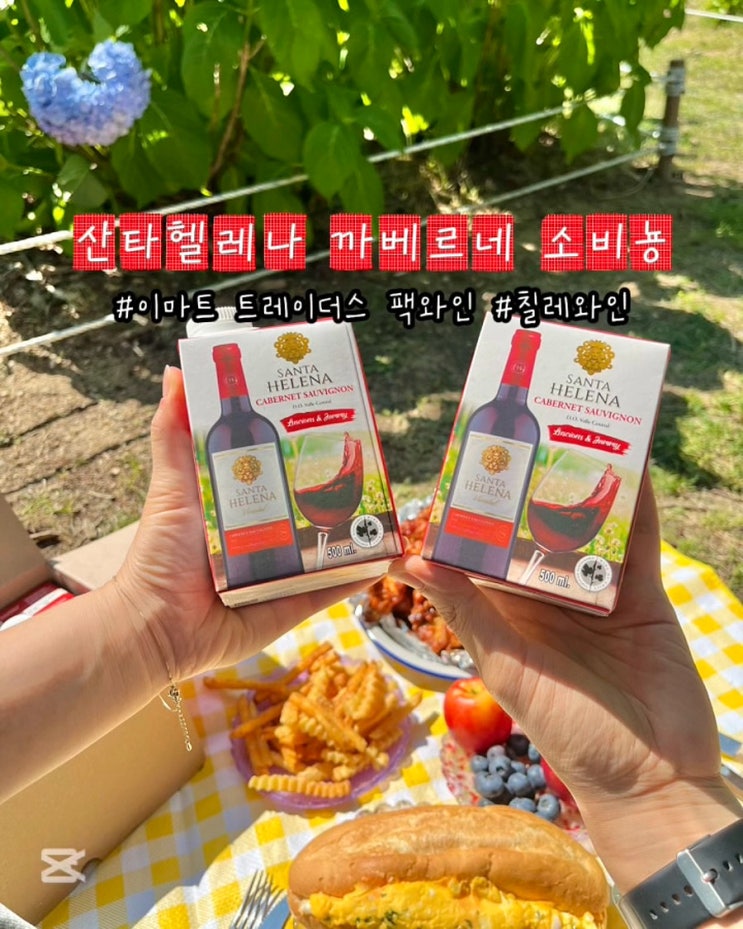  이마트 트레이더스 팩와인 산타헬레나 까베르네 소비뇽 칠레와인 피크닉 후기