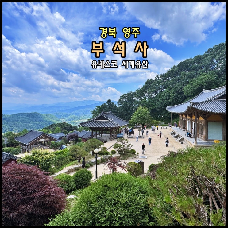  [영주] ️ 소백산맥의 겹겹이 뻗은 능선이 절경인 유네스코 세계유산 '부석사'
