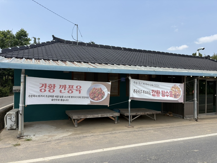 봉황반점 사진 2