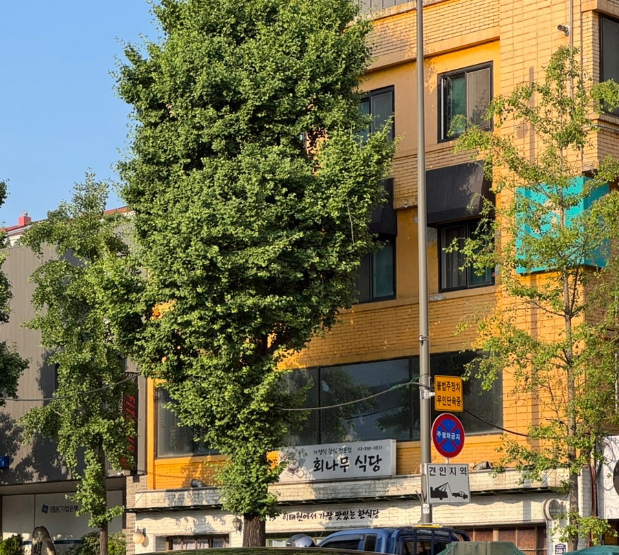 회나무식당 사진