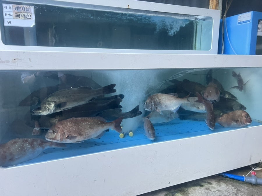 구룡포수산횟집 천동가오점 사진 2