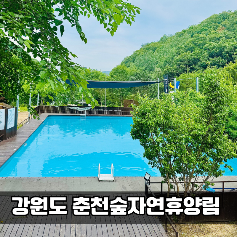 서울근교 글램핑 춘천숲자연휴양림｜숲속의집 펜션동 1박 및 무료수영장 솔직후기