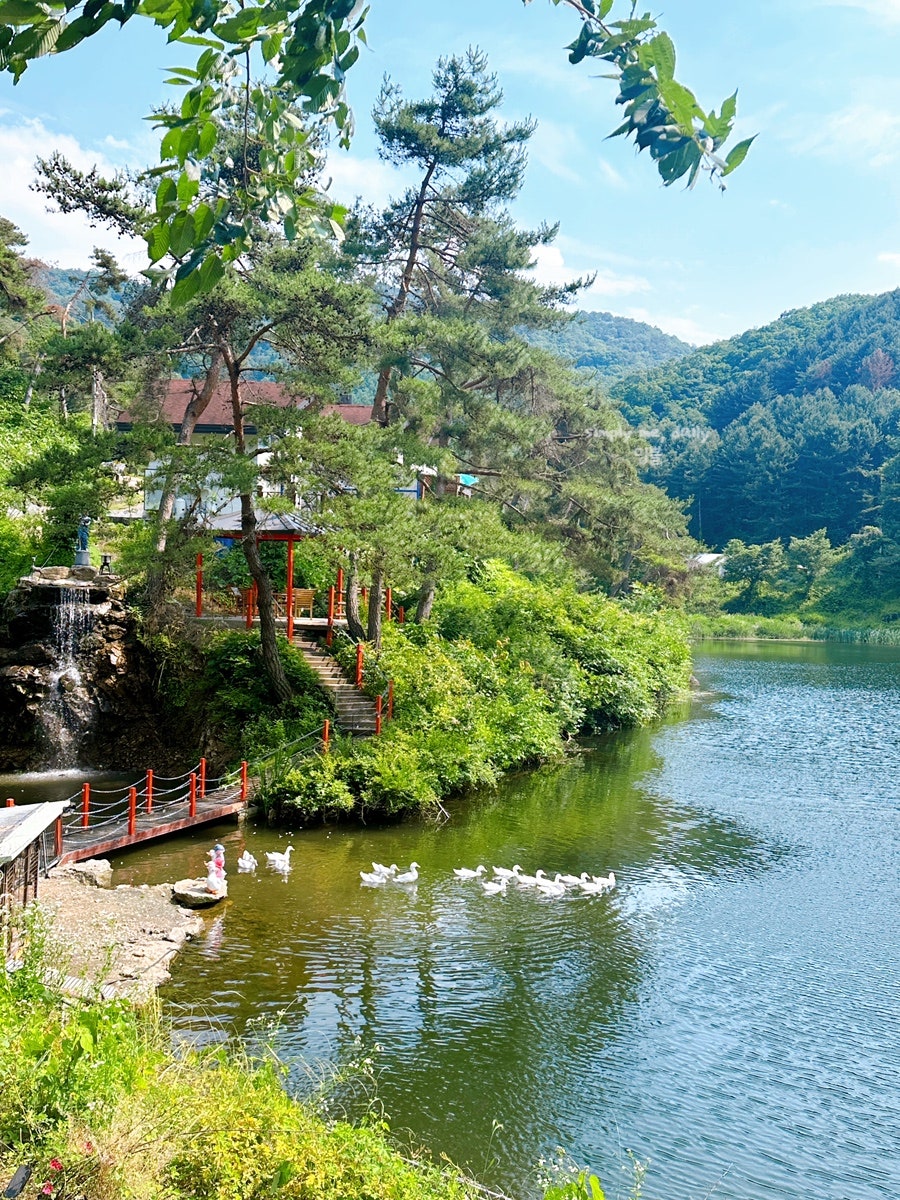 도토리골 사진 3