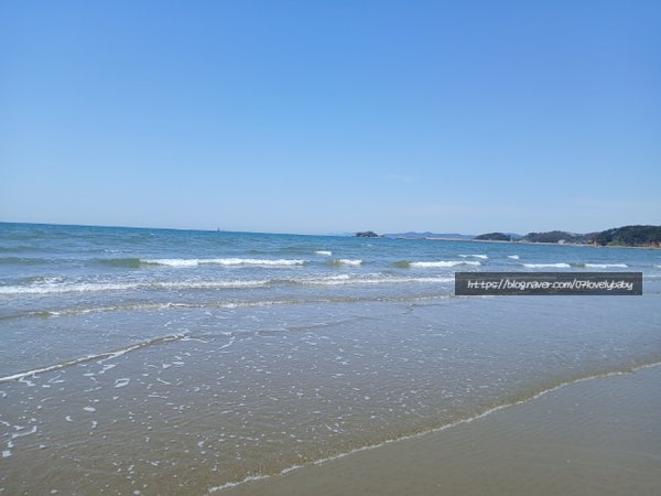 국립공원 몽산포야영장ㅣ맛조개와 백합 잡기 좋은 태안캠핑장