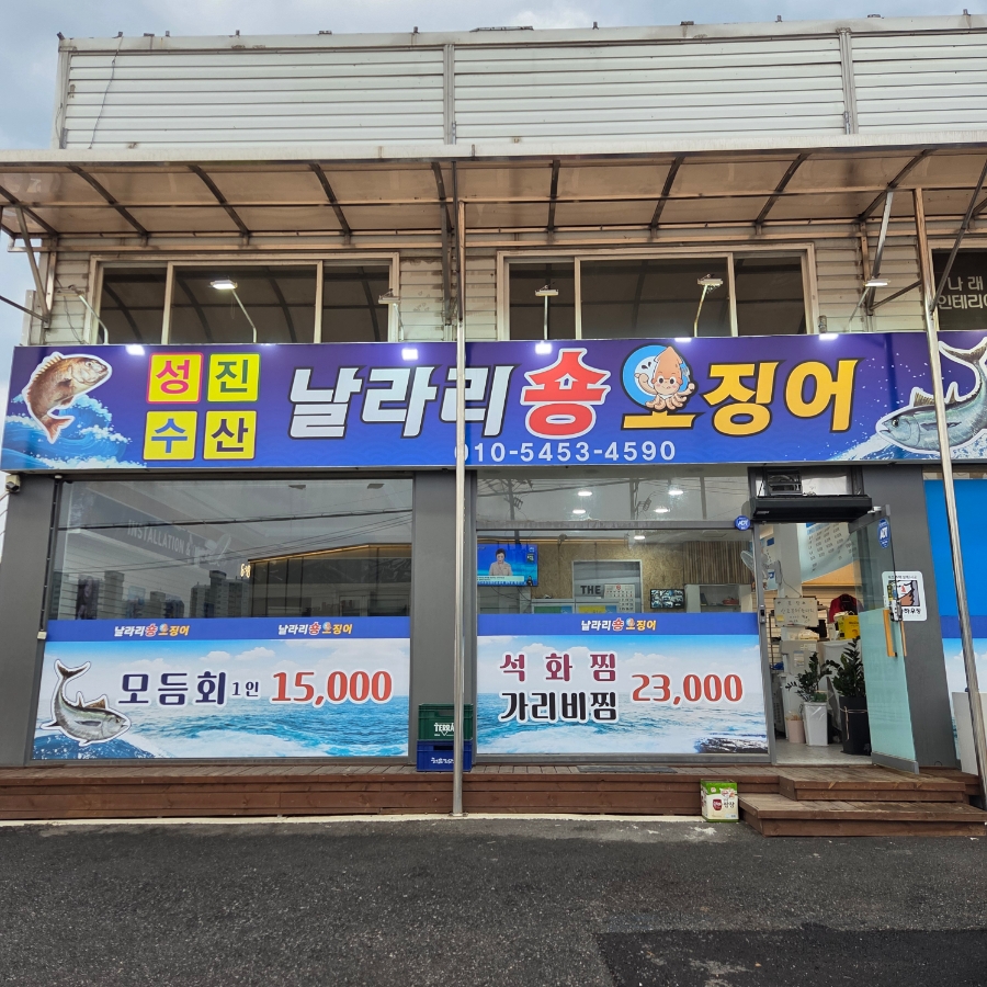 날라리숑오징어 사진 2