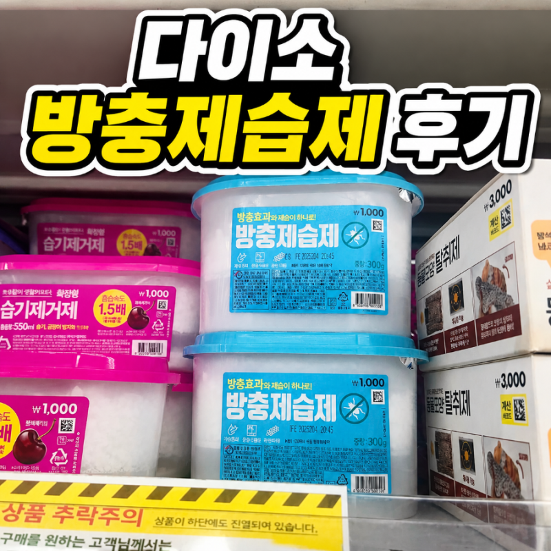 다이소 습기제거제 내돈내산 후기｜자취방 여름 습기에 숨 막힐 때
