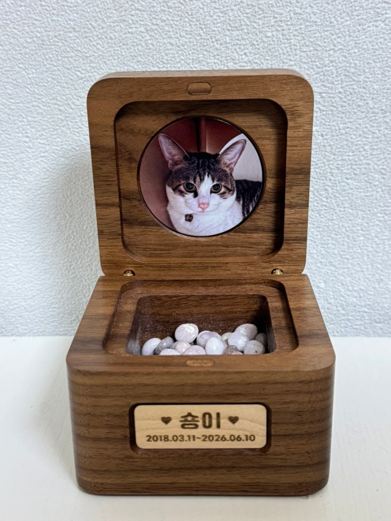 고생했어 우리 숑이