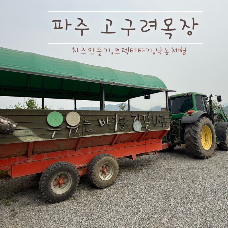 파주 아이랑가볼만한곳 고구려 목장_피자 만들기, 치즈 만들기, 낙농체험