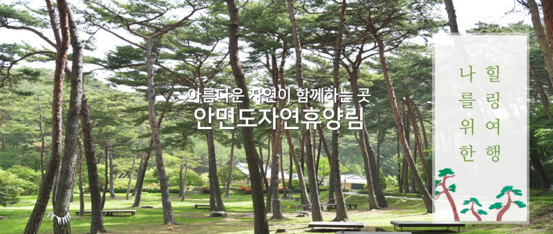 안면도자연휴양림 예약 방법 총정리! 안면도 1박 2일 여행코스와 예약 꿀팁