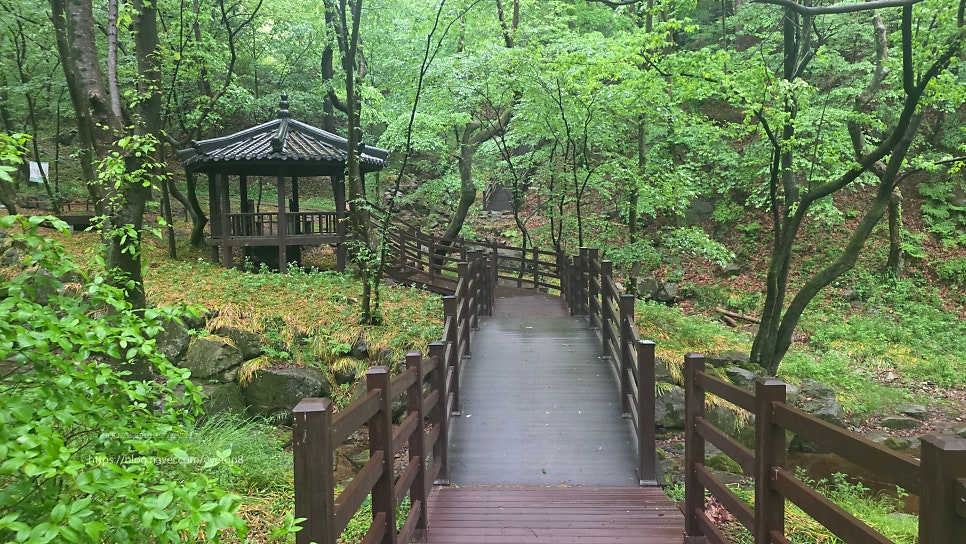 월곡산림욕장 사진 5