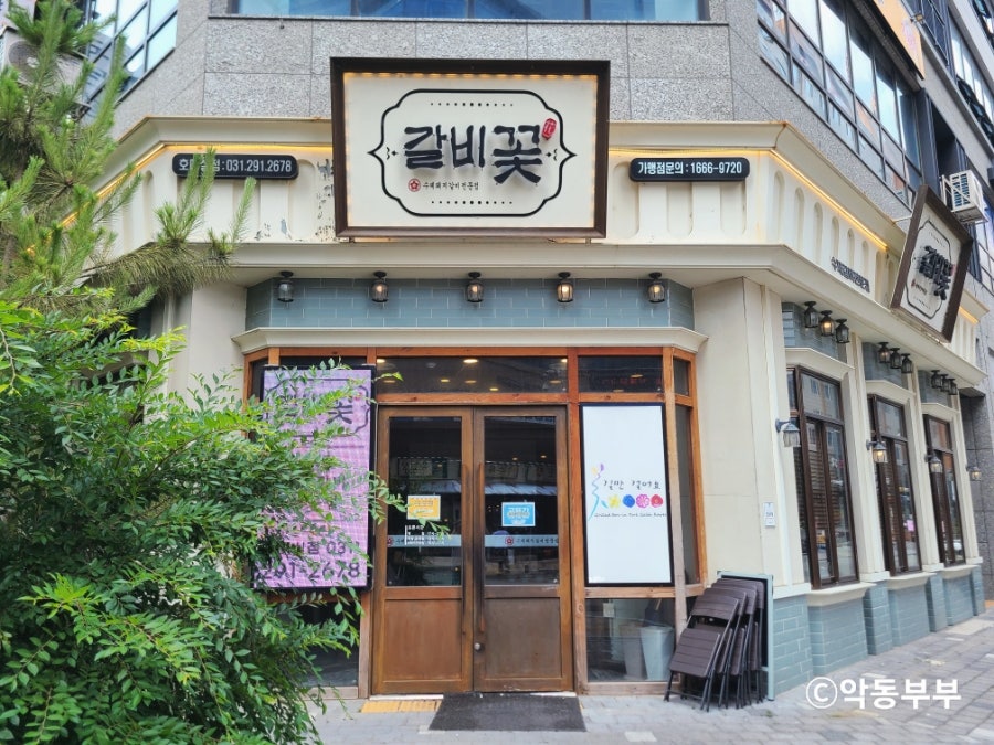 갈비꽃 사진 2