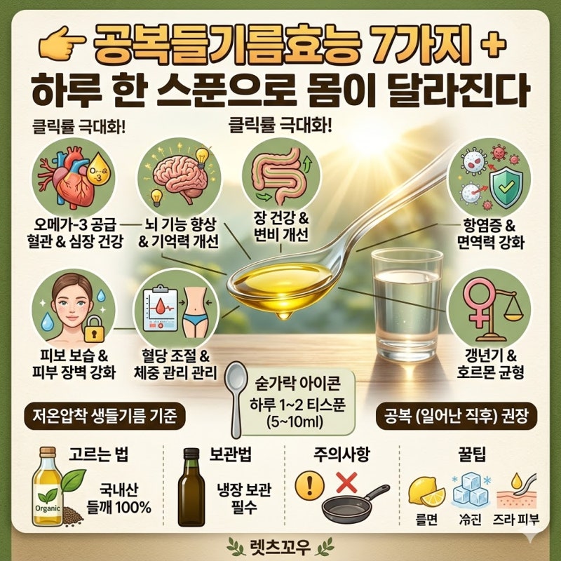 공복들기름효능 7가지 + 하루 한 스푼으로 몸이 달라진다