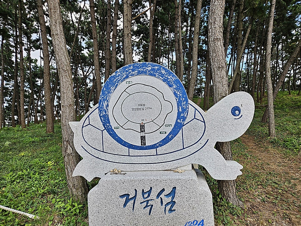 부사도 사진 6