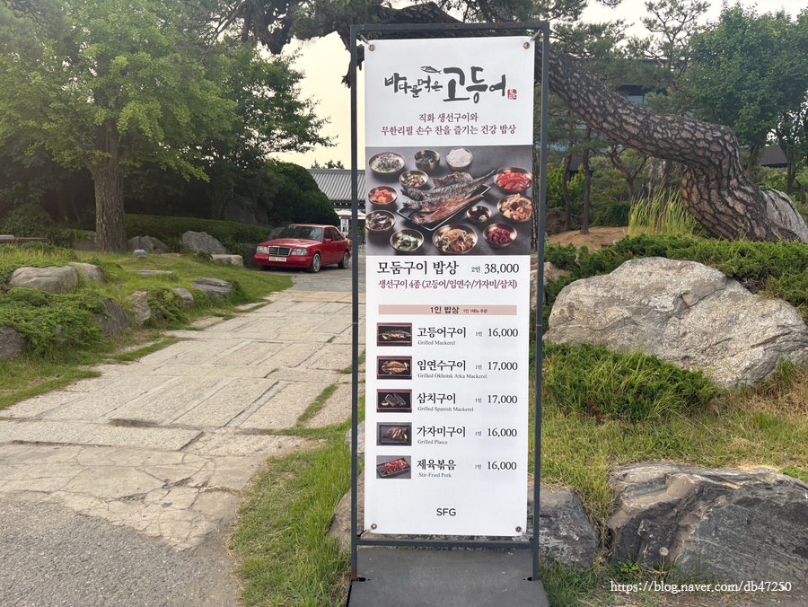 바다를먹은고등어 사진 3
